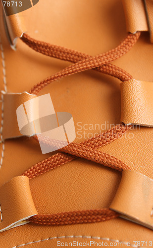 Image of shoe lace