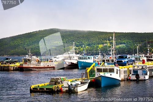 Image of Fishing boats in Newfoundland