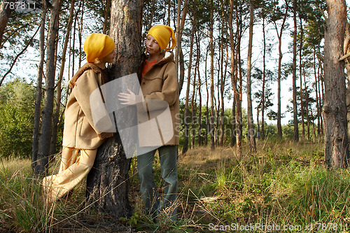 Image of Gnomes in the forest