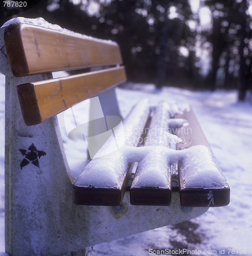 Image of Park Bench