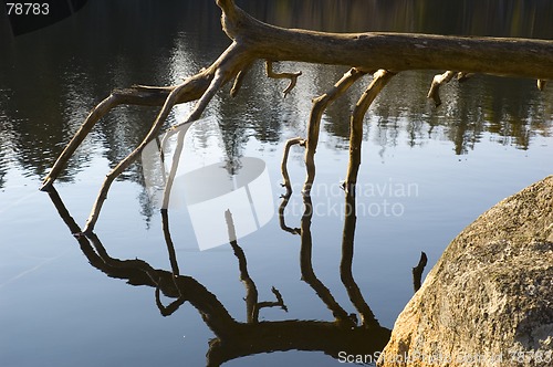 Image of waterworks