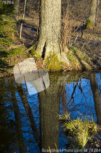 Image of Reflections