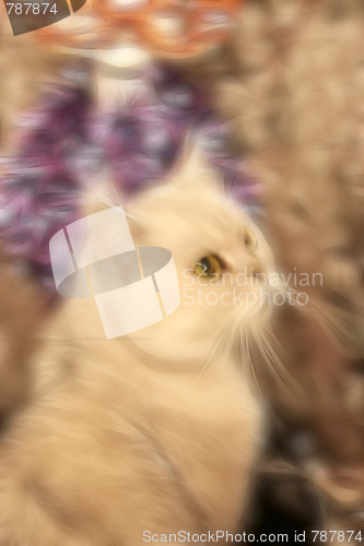 Image of abstract cat