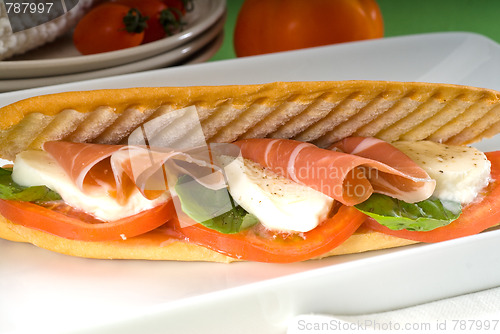 Image of panini caprese and parma ham