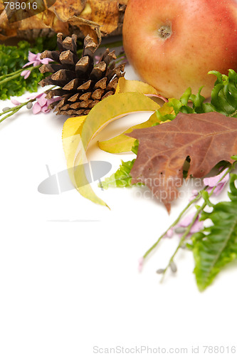 Image of Autumnal leaves arragement