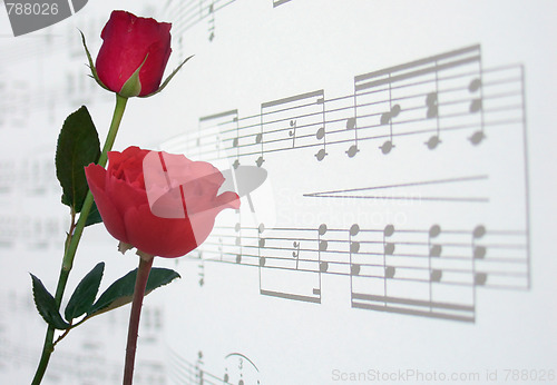 Image of red roses and music