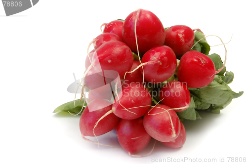 Image of Radish