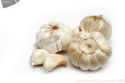 Image of Garlic