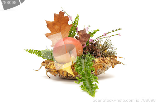 Image of Autumnal leaves arragement