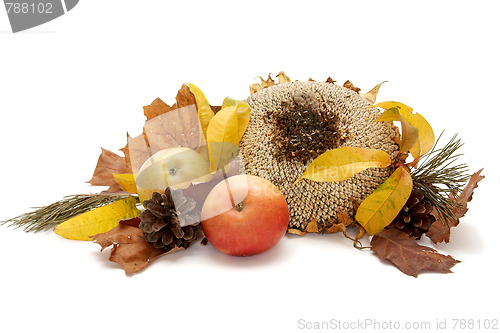 Image of Autumnal leaves arragement