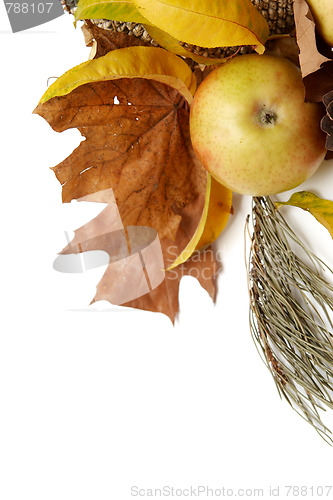 Image of Autumnal leaves arragement