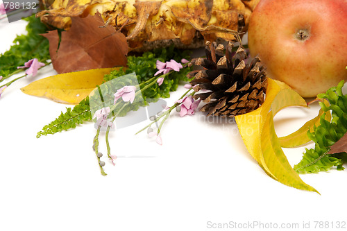 Image of Autumnal leaves arragement