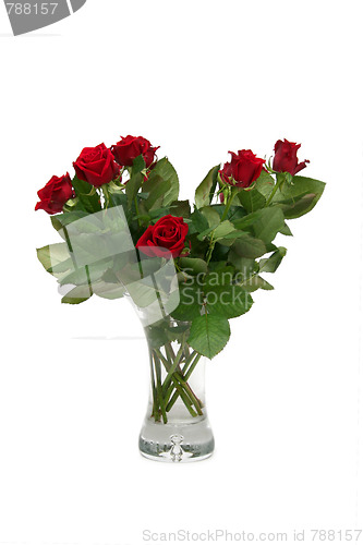 Image of Red rose