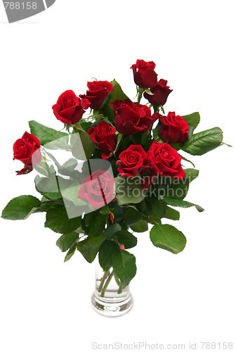 Image of Red rose