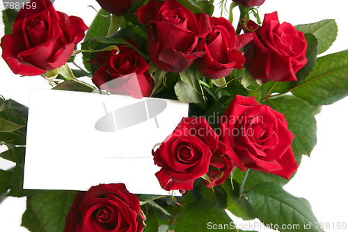 Image of Red rose