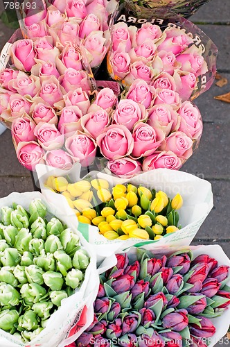Image of Roses and tulips