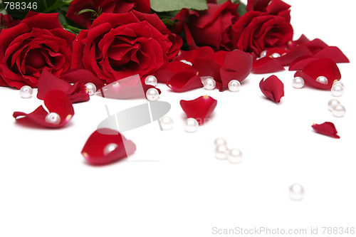 Image of Red roses