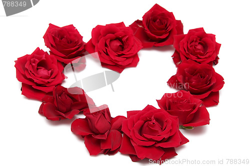 Image of Red roses