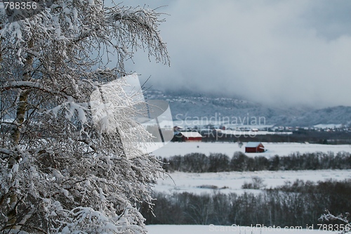 Image of Winter landscape