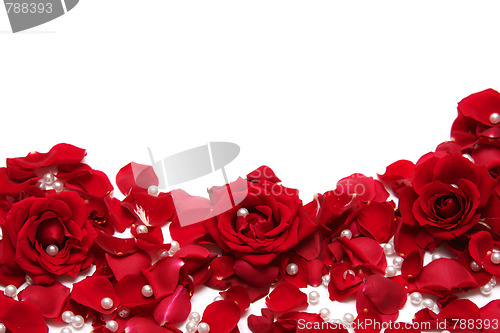 Image of Red roses