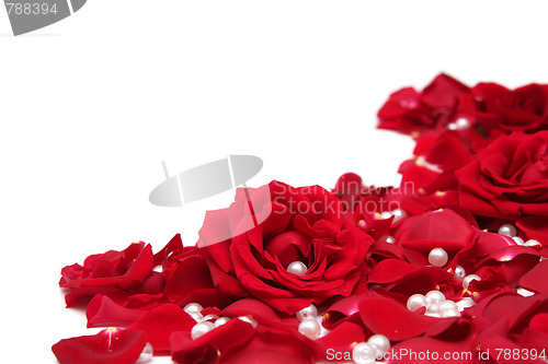 Image of Red roses