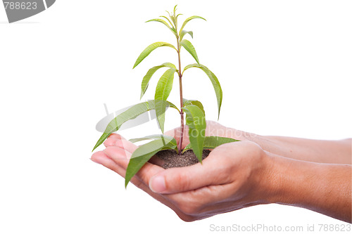 Image of Nature protection
