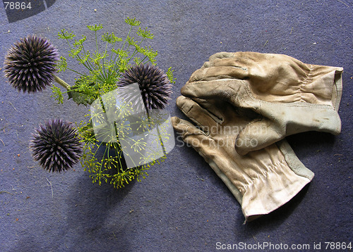 Image of Gloves and flowers