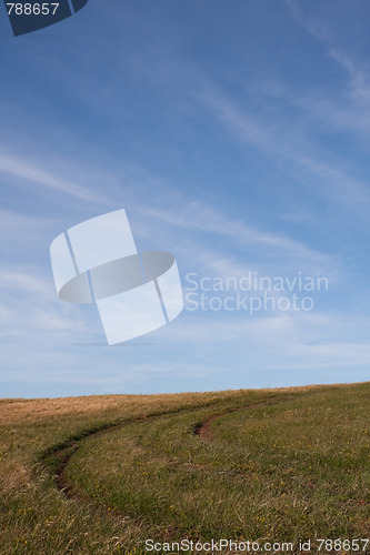 Image of Path at the field