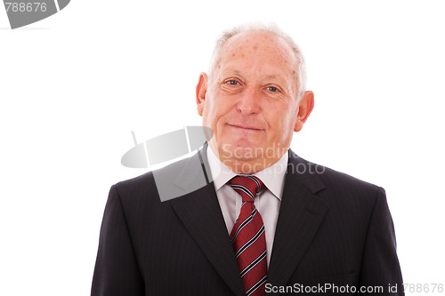 Image of Happy senior businessman