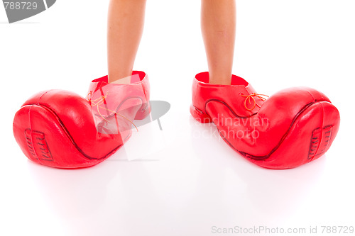 Image of big clown shoes