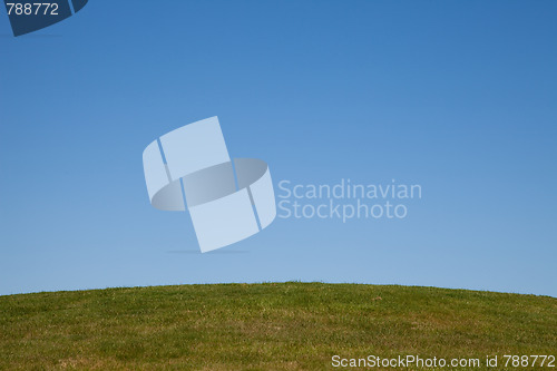 Image of Green landscape