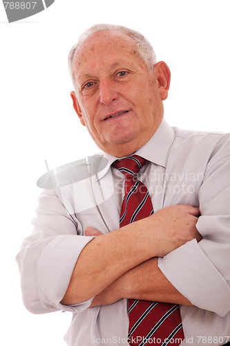 Image of Happy senior businessman
