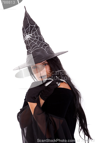 Image of Halloween witch