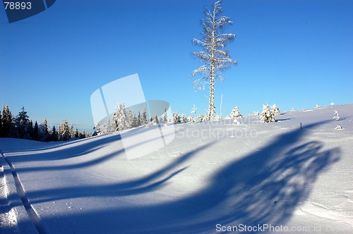 Image of Winter landscape