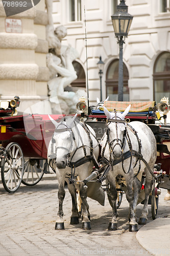 Image of Horsedrawn carriage