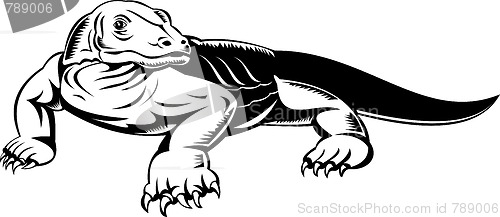 Image of komodo dragon