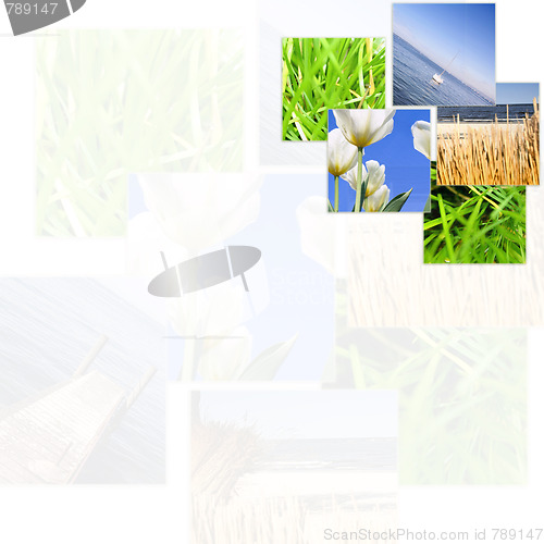Image of Nature collage.