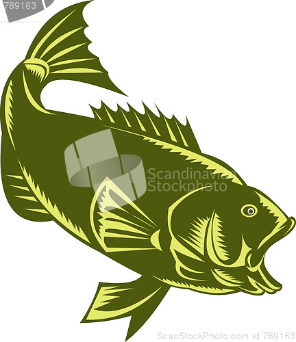 Image of Largemouth Bass