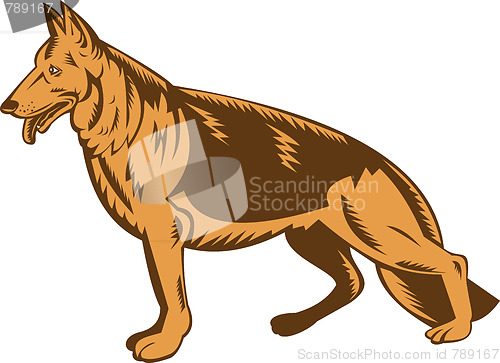 Image of German shepherd dog