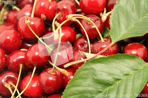 Image of beautiful and tasty cherries