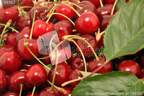 Image of beautiful and tasty cherries