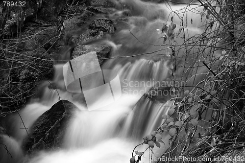 Image of Flowing water the river in Portugal