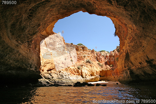 Image of coast in the summer