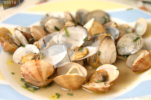 Image of beautiful and tasty clams