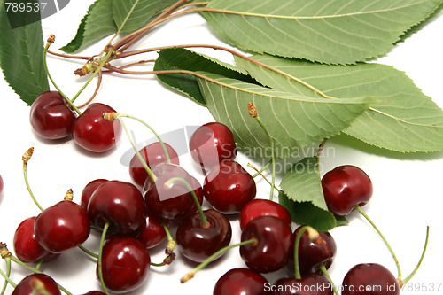 Image of beautiful and tasty cherries