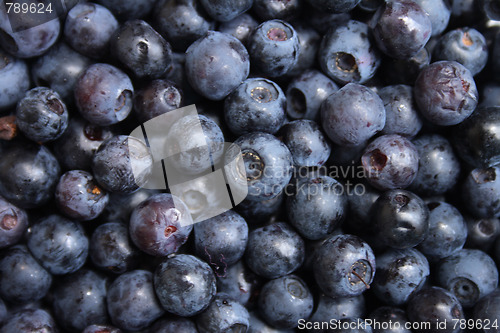 Image of blueberries background