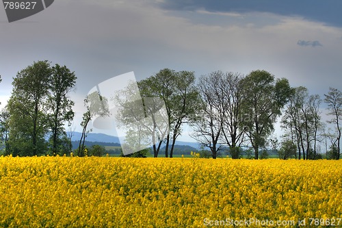 Image of czech agricultural country