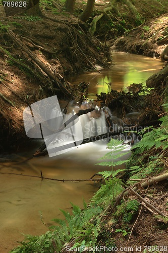 Image of nice forest river