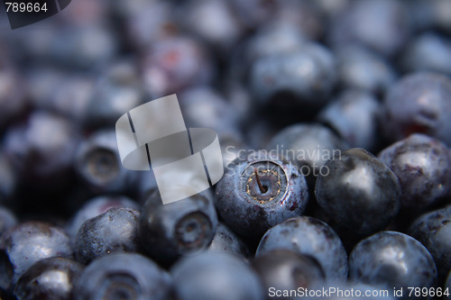 Image of blueberries background