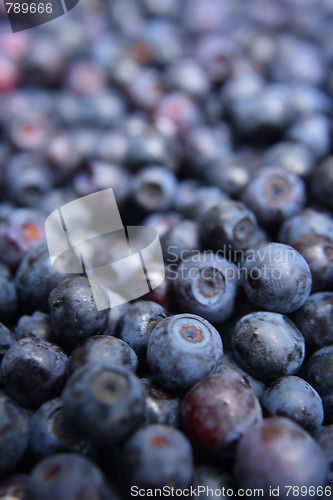 Image of blueberries background